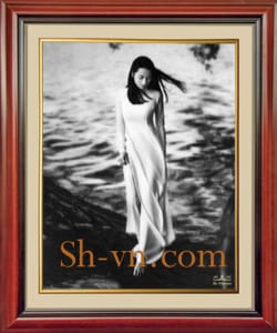Hand-eabroidery-vietnam-The women 's Áo Dài 05= - SHVN 2005 - 60cm (2)