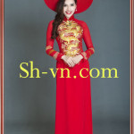Ao-dai-theu-dep-Áo Dài thêu 247-SHVN 247