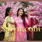 Ao-dai-theu-hoa-mai-Mẫu thêu hoa mai 501-SHVN 501