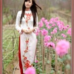 Ao-dai-theu-hoa-mai-Mẫu thêu hoa mai 509-SHVN 509