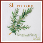 Khan-lua-theu-tay-Mẫu 237-SHVN 237