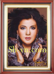 вышитые картины пионы=Karina Singer 447-SHVN-2486-60x80cm
