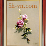 вышитые розы крестом=Роза 024- SHVN 1163 - 40 x 60 cm (2)