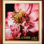картины вышитые шелком купить=расцветать 724-SHVN 2224-40cm x 40cm. (2)