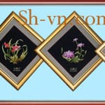 梅兰竹菊39-SHVN 1139 -50cm x 50cm