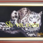 豹82－SHVN-2082-80x120cm