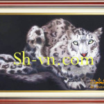 豹82－SHVN-2082-80x120cm