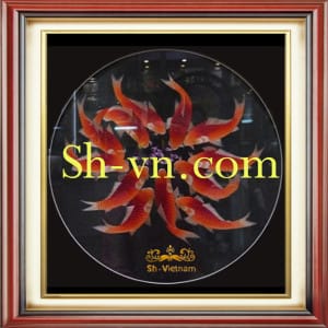 錦鯉66-SHVN-2466-80x80cm