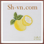 Emberoidered-cloth-napkins-Cloth napkins- 309-SHVN 309