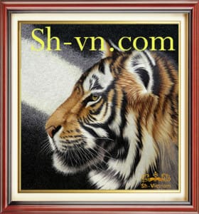 Feng-shui-embroidery- =Feng shui embroidery 29-SHVN-2529-60x60cm