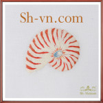 Hand-emberoidered-cloth-Handkerchief pattern 012-SHVN 012