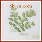 Hand-emberoidered-clothing-Hand embroidery patterns 230-SHVN 230