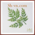Hand-emberoidered-clothing-Hand embroidery patterns 236-SHVN 236