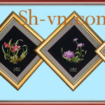 SHVN 1139 -50cm x 50cm-التطريزشاشةقابلةللطي = لوحاتتطريزيدوي 39