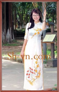 アオザイ結婚＝アオザイのサンプル 245-SHVN 245