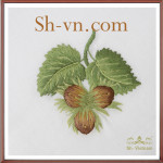 シルクハンカチ=ベトナムシルク315-SHVN 315