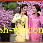 Áo dài thêu đẹp 'Áo dài thêu 257'