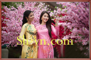 Áo dài thêu hoa 'Mẫu thêu 304'