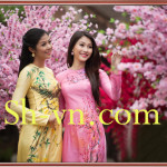 Áo dài thêu hoa mai 'Mẫu thêu hoa mai 501'
