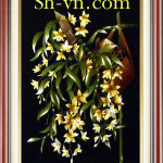 Tranh thêu tay cao cấp Hà Nội 'Hoa lan khoe sắc 4310'