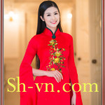 Mẫu thêu áo dài đơn giản 'Mẫu thêu tơ tằm 422'