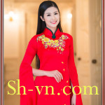 Áo dài lụa thêu tay 'Mẫu thêu hoa 956'