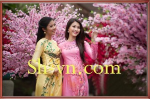Ao-dai-theu