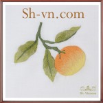 Khan-trai-ban-dep-tphcm (15)