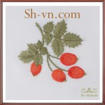 Khan-trai-ban-dep-tphcm (24)