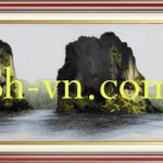 Tranh-lua (50)