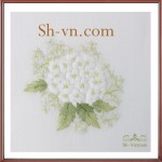 khan-trai-ban-theu-tay-tphcm (33)