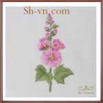 khan-trai-ban-theu-tay-tphcm (42)