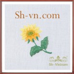 khan-trai-ban-theu-tay-tphcm (58)