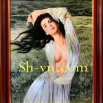 Nhung mau tranh theu tay (2)